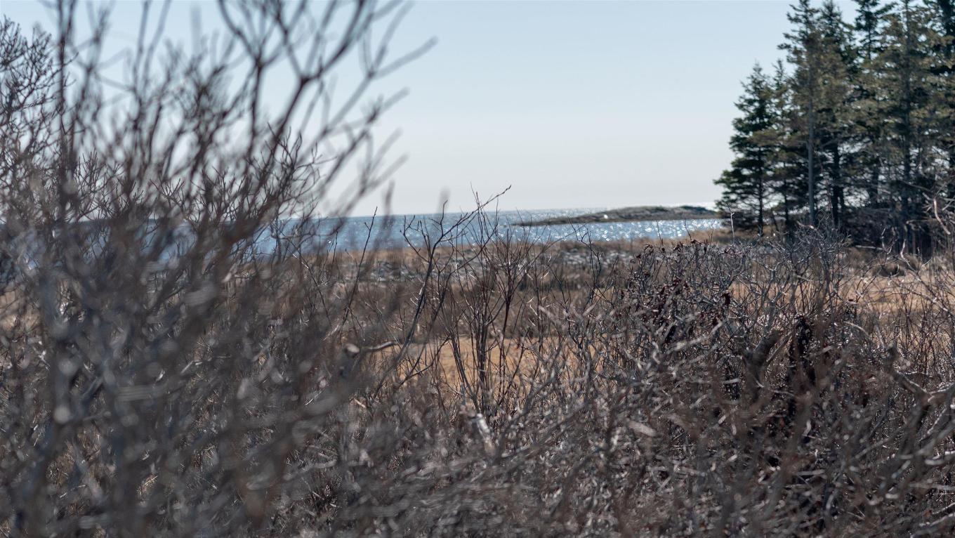 2105 Port Latour Road, Upper Port La Tour, NS