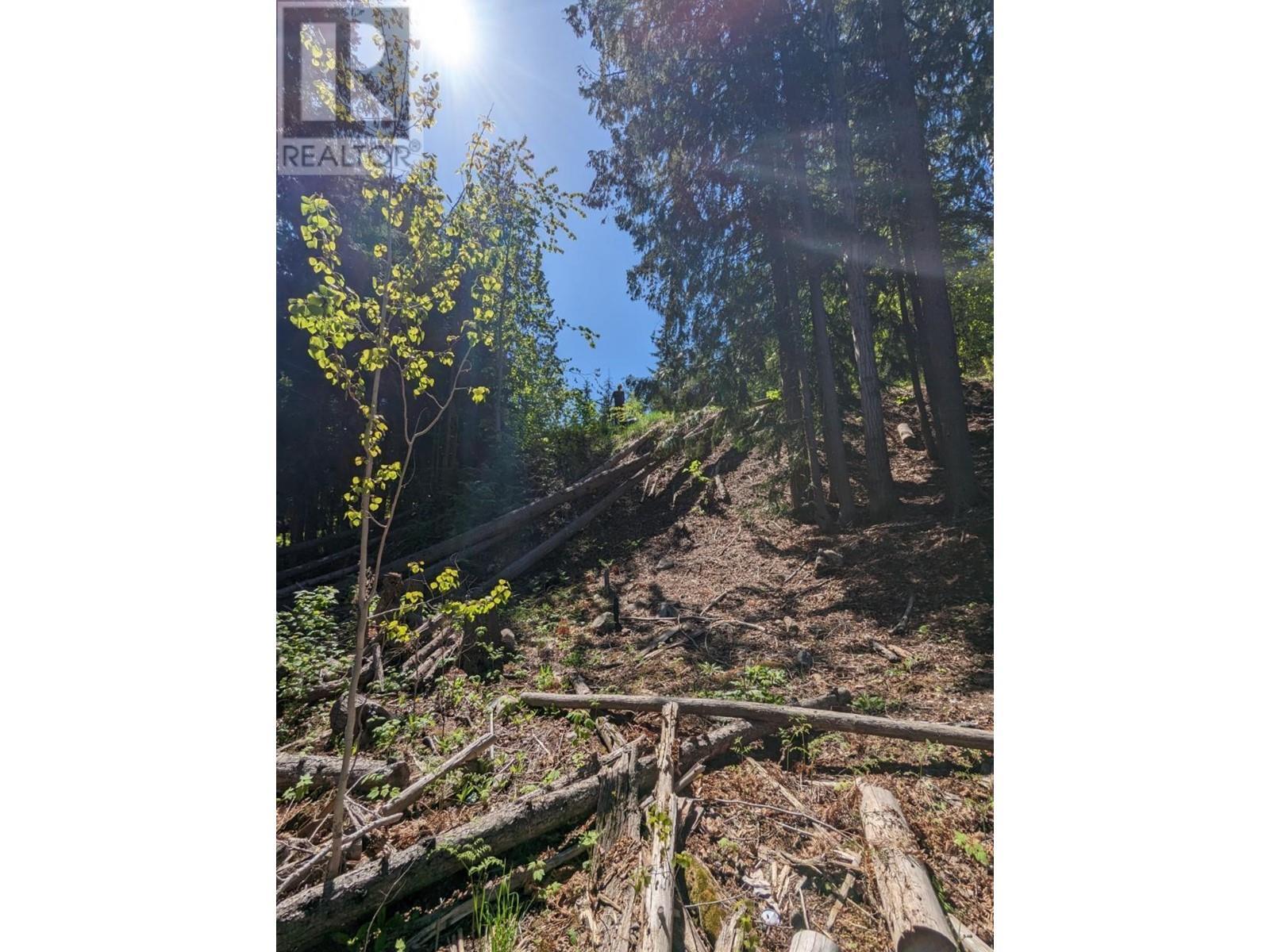 Lot 17 Balfour Crescent, Kaslo, BC