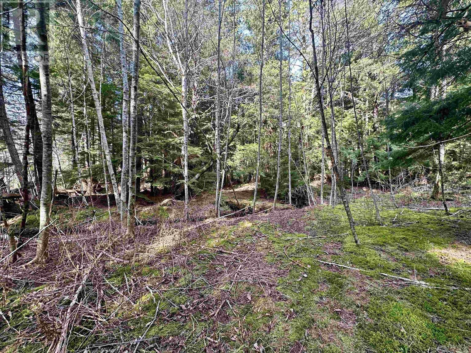 2712 Egan Road, Bella Coola, BC - Outdoor