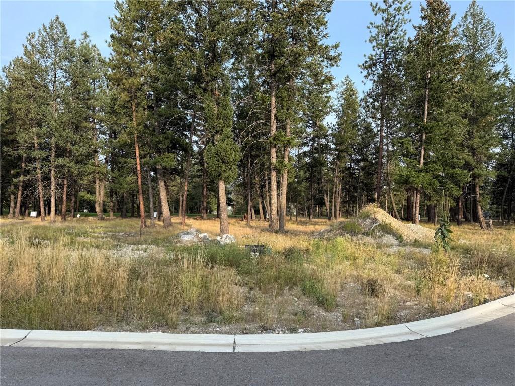 404 Wildstone Close, Cranbrook, BC - Outdoor With View