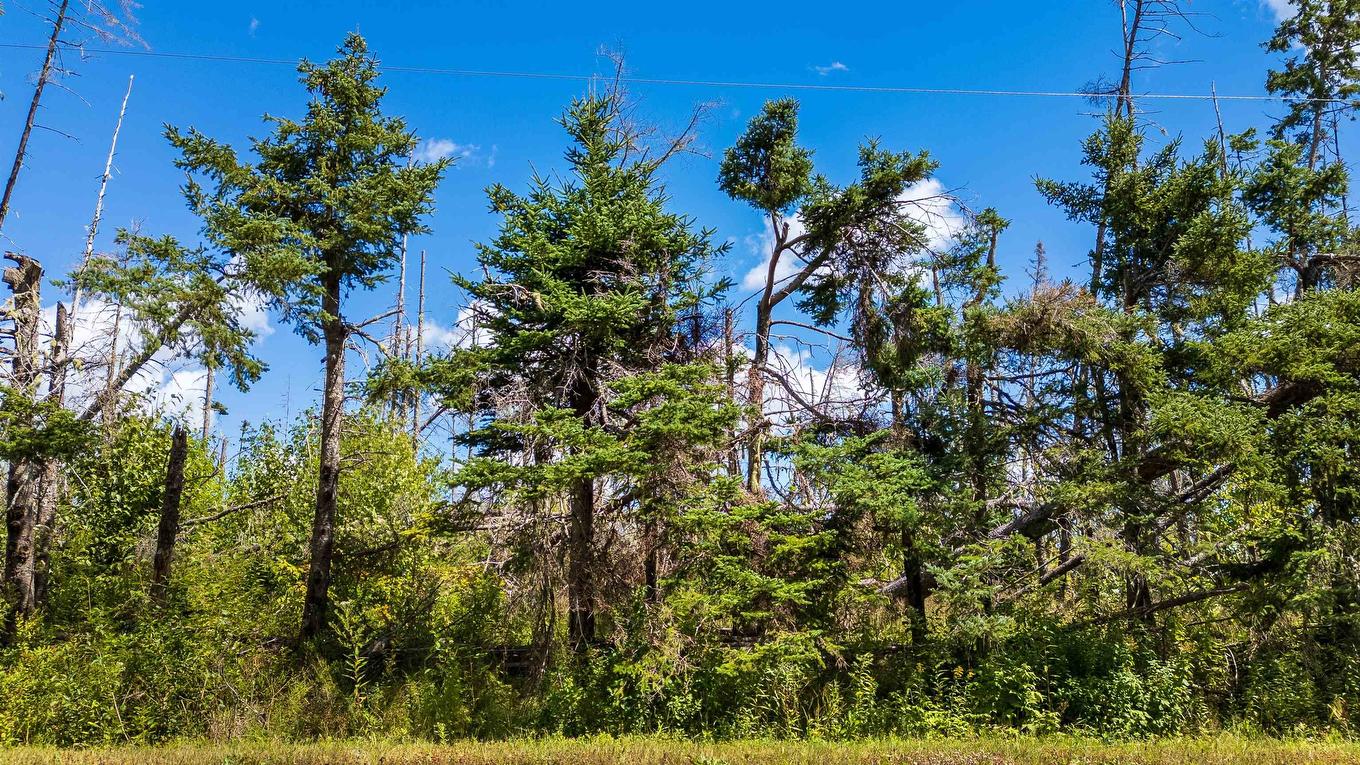 Lot 2 Sloane Road, Newport, PE