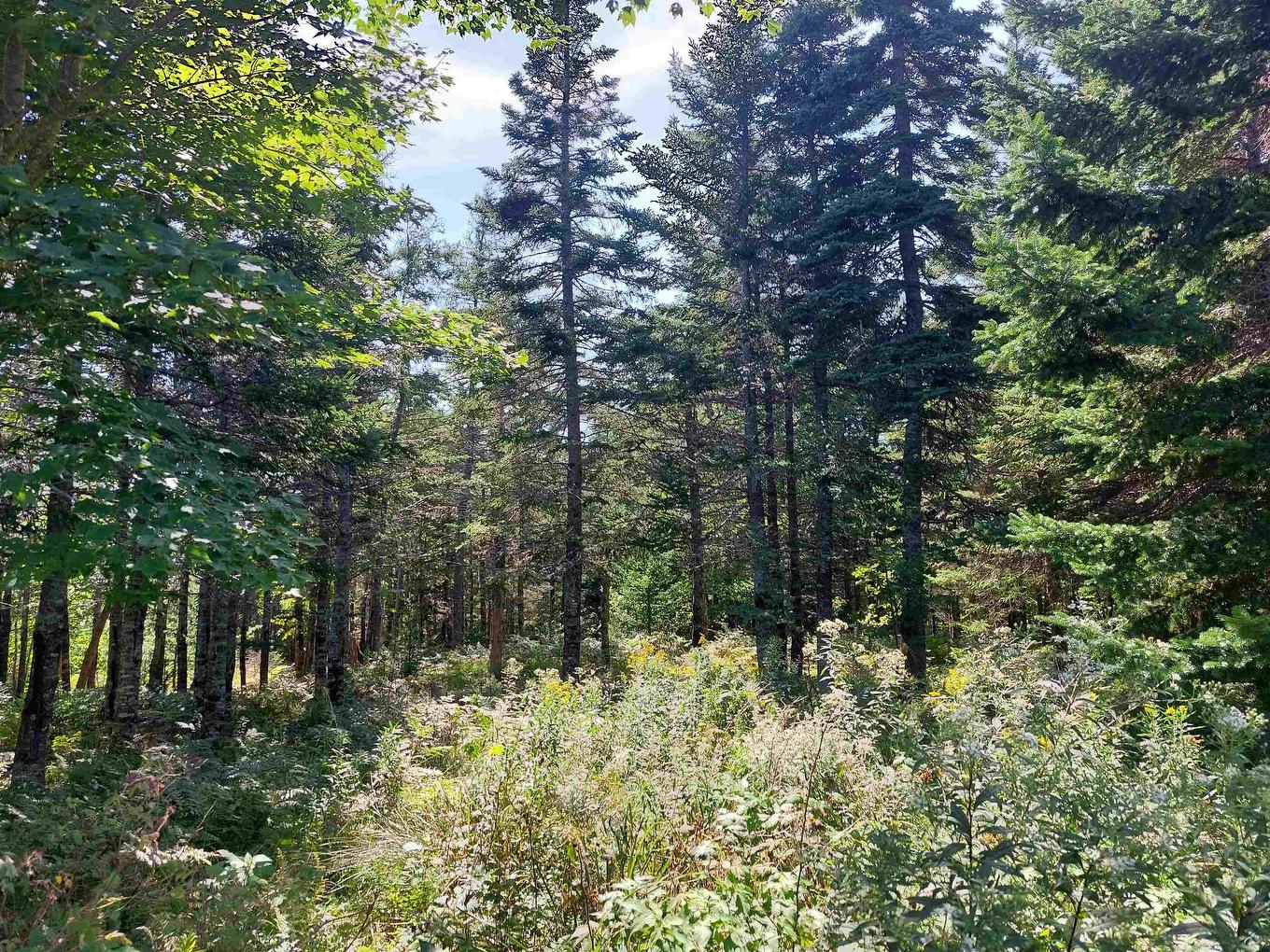 Lot 9 Hill Street, French Cove, NS