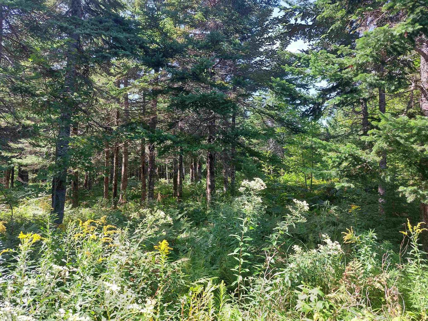 Lot 9 Hill Street, French Cove, NS