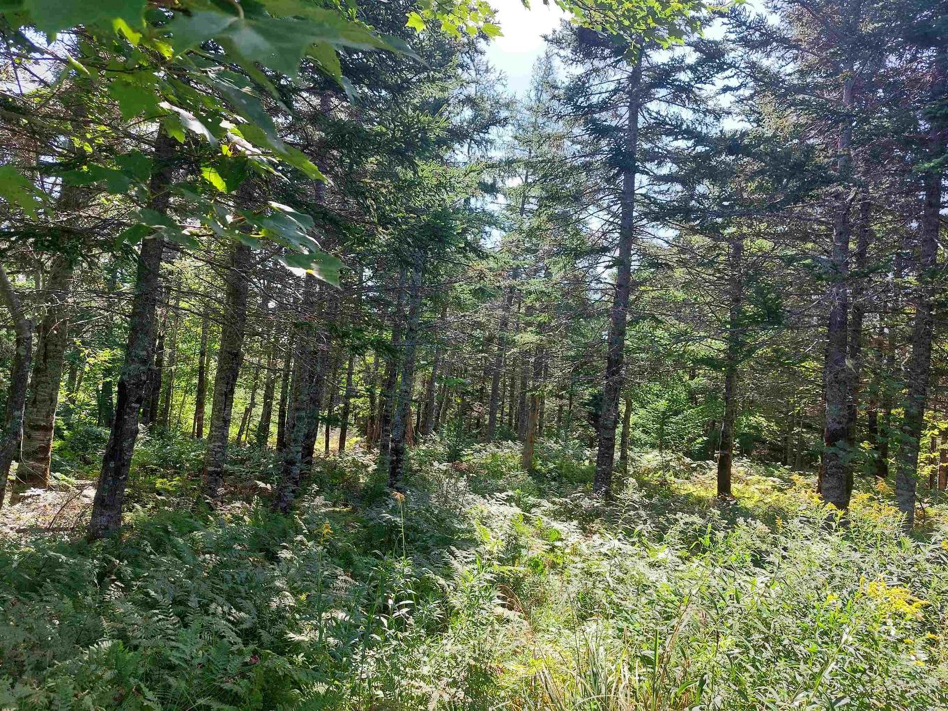 Lot 9 Hill Street, French Cove, NS