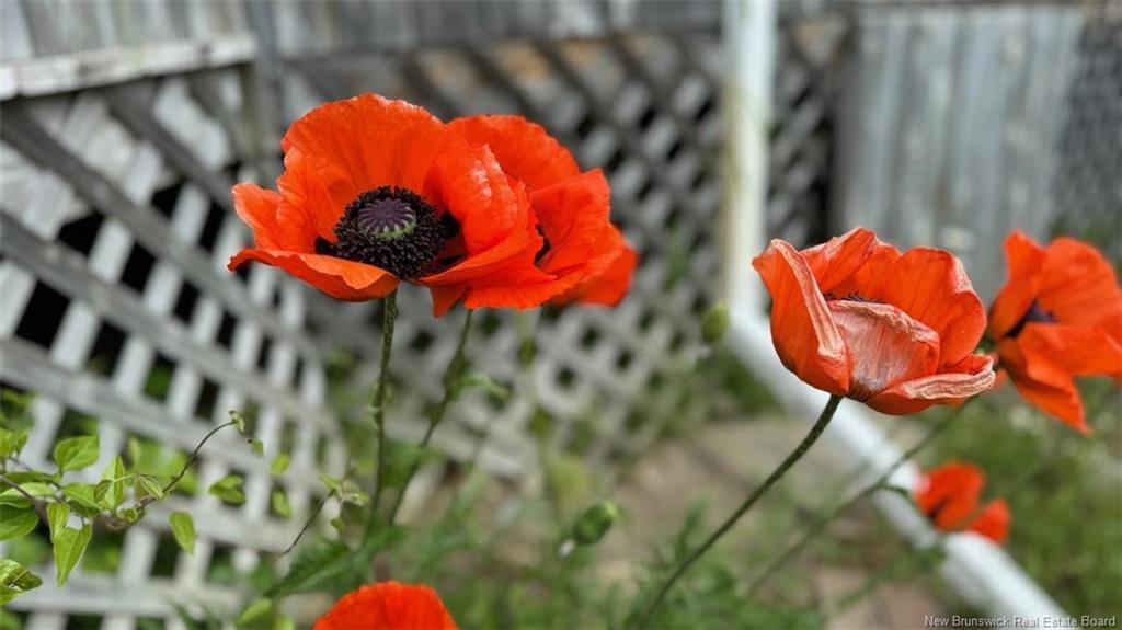 1384 Baisley Rd, Saint-Jacques, NB