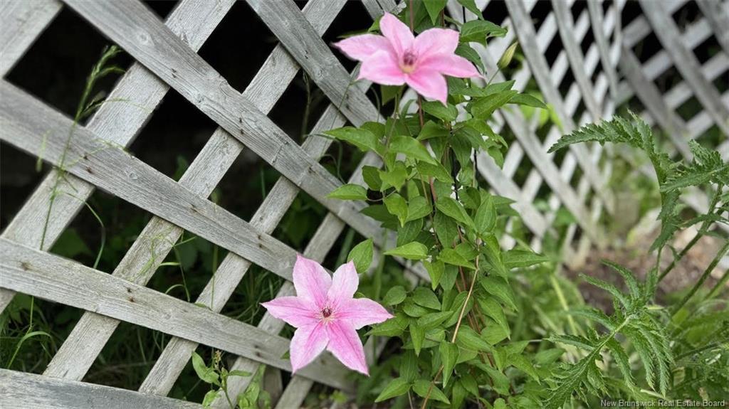 1384 Baisley Rd, Saint-Jacques, NB