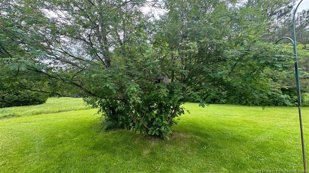 1384 Baisley Rd, Saint-Jacques, NB