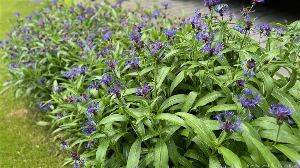 1384 Baisley Rd, Saint-Jacques, NB