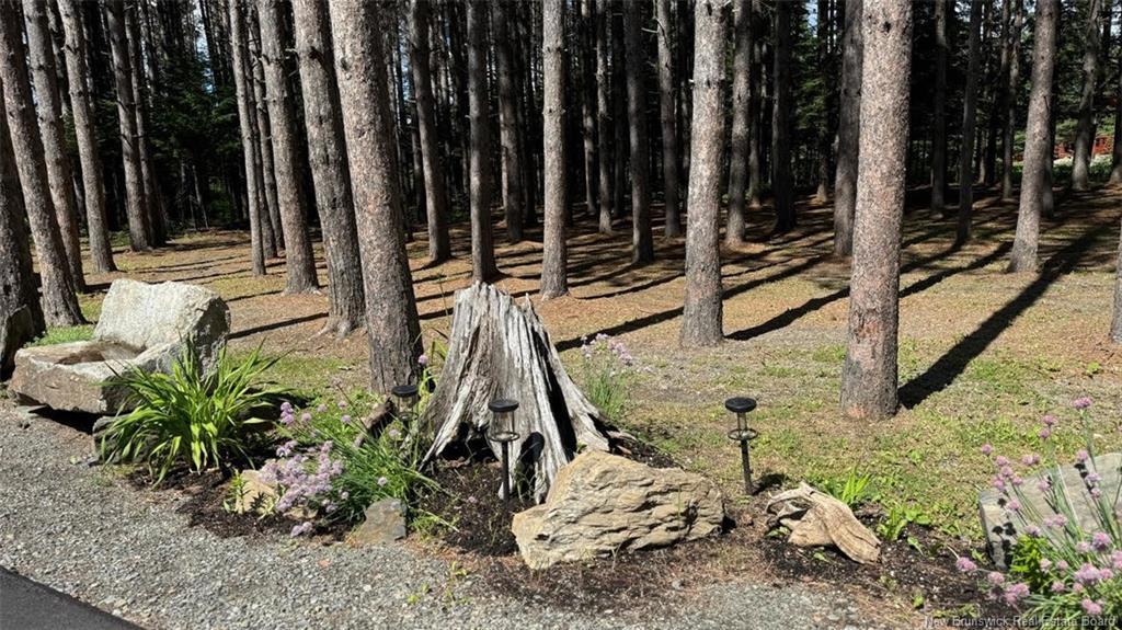 49 Chemin Du Rang 5+6, Saint-Quentin, NB