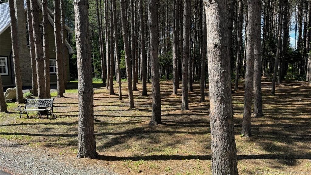 49 Chemin Du Rang 5+6, Saint-Quentin, NB