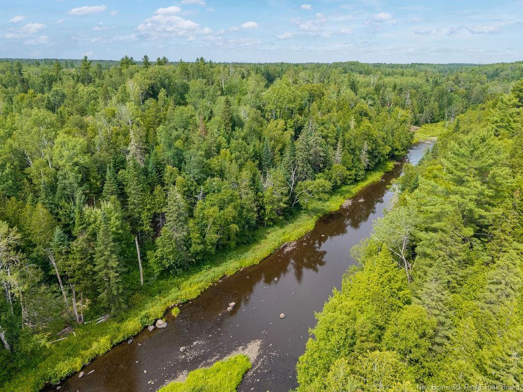 50 Walsh Rd, Whitney, NB