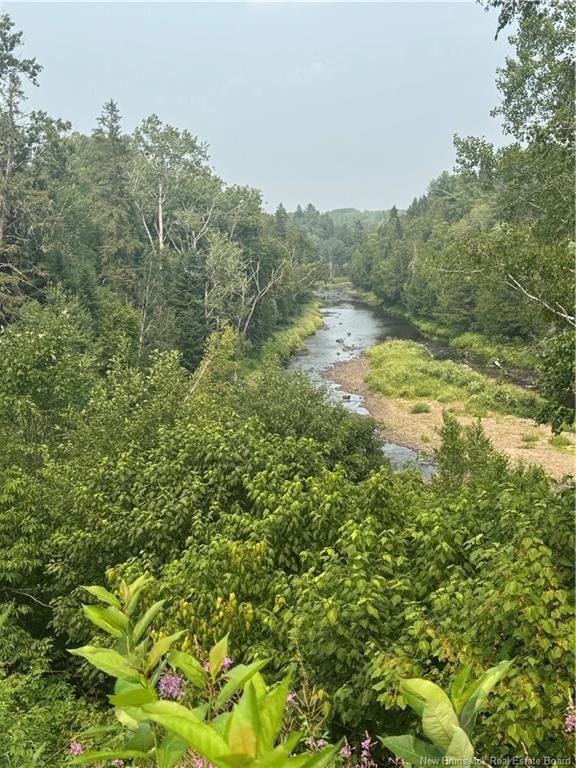 50 Walsh Rd, Whitney, NB