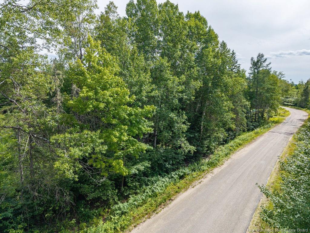 50 Walsh Rd, Whitney, NB