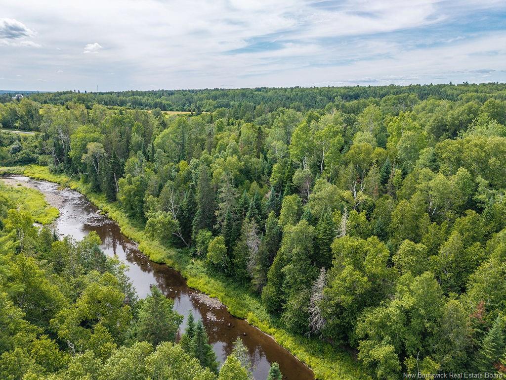 50 Walsh Rd, Whitney, NB