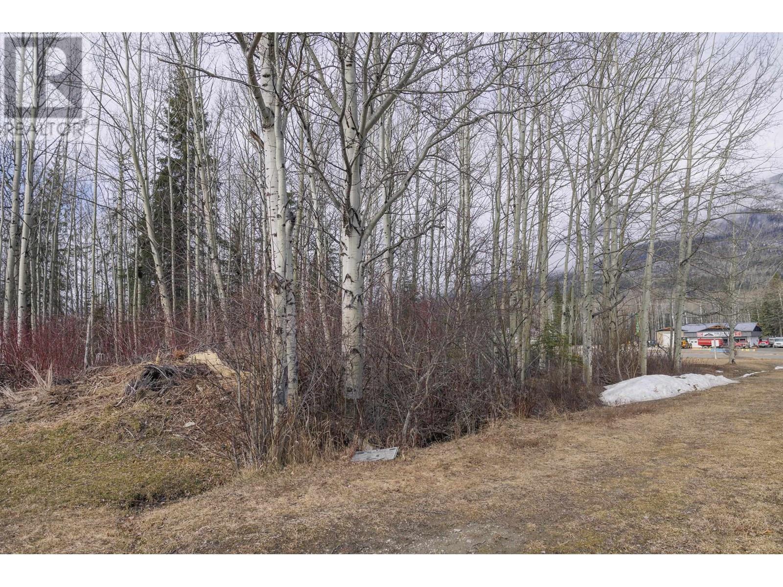 1105 Se Frontage Road, Mcbride, BC