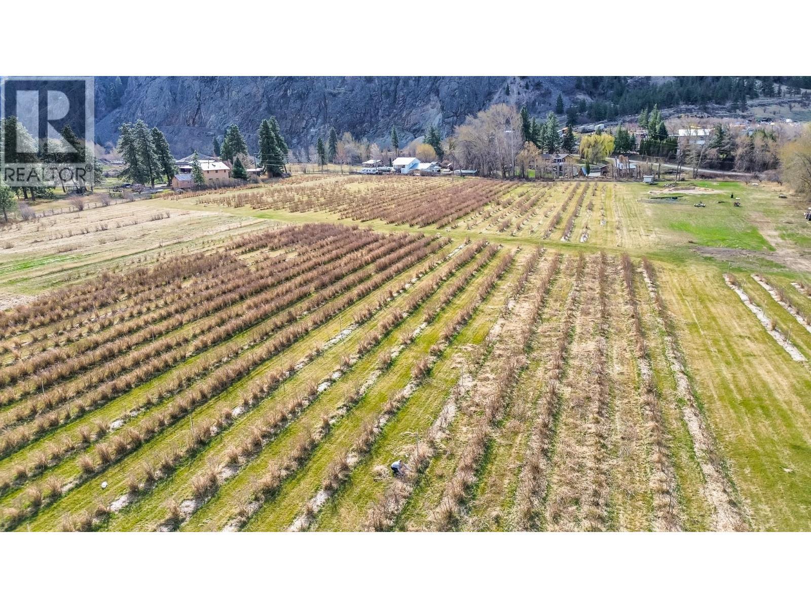 Blueberry patch - 3210 / 3208 Cory Road, Keremeos, BC
