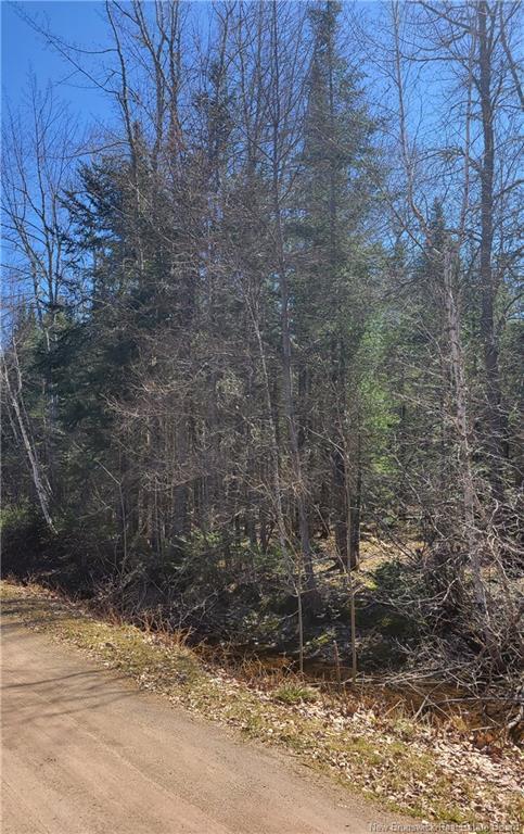Lot 3 Hayesey Lane, Mill Cove, NB