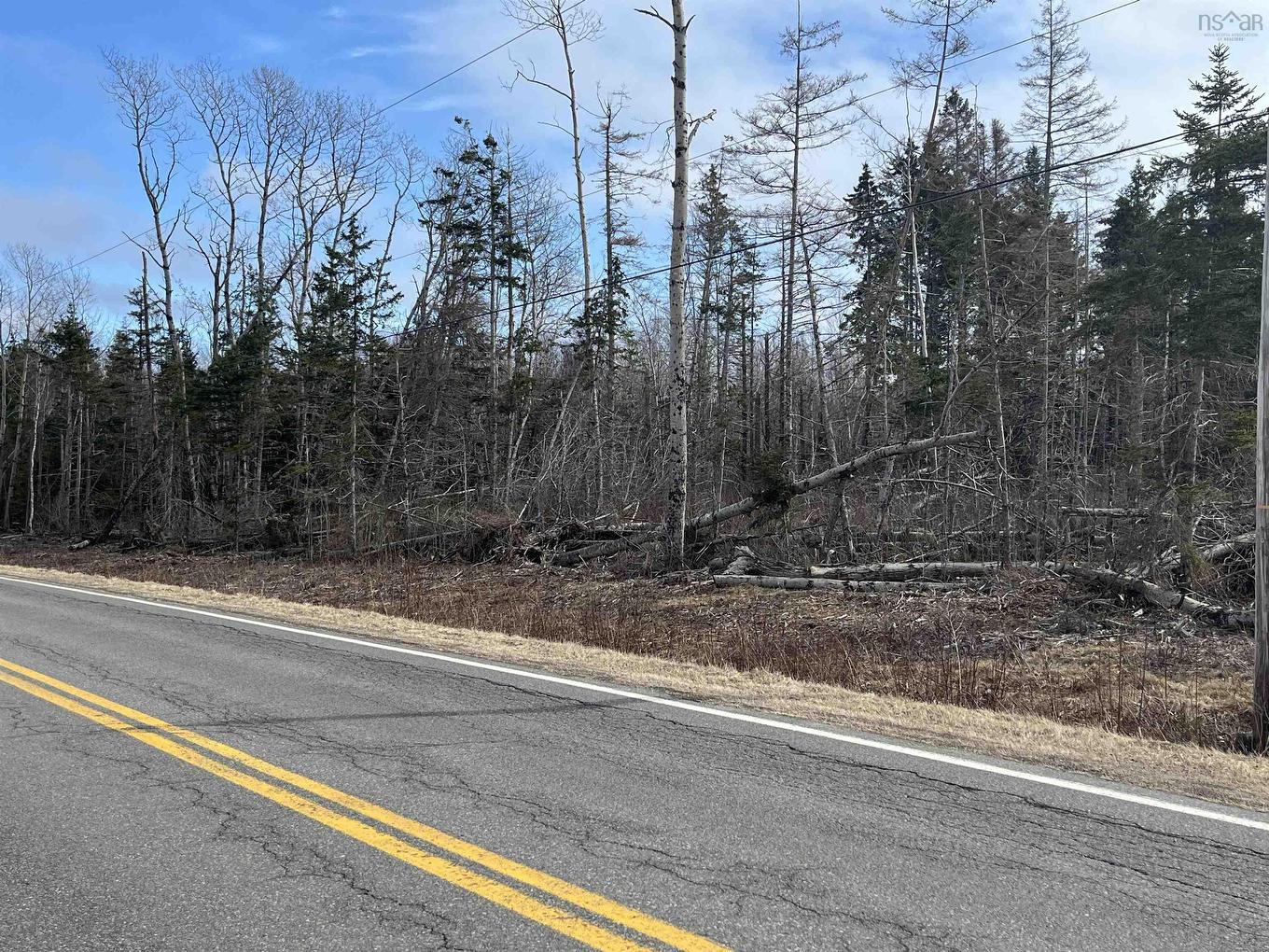 Lot 1-0 Scotsburn Road, West Branch, NS