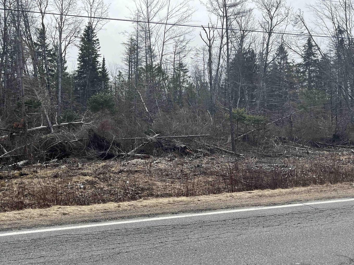 Lot 1-0 Scotsburn Road, West Branch, NS