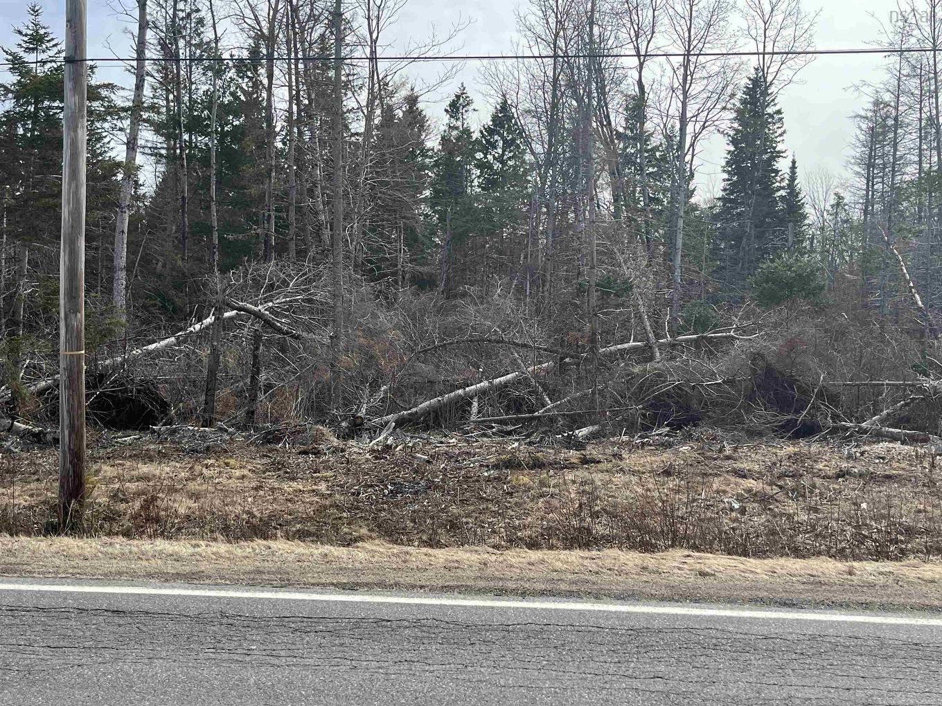 Lot 1-0 Scotsburn Road, West Branch, NS