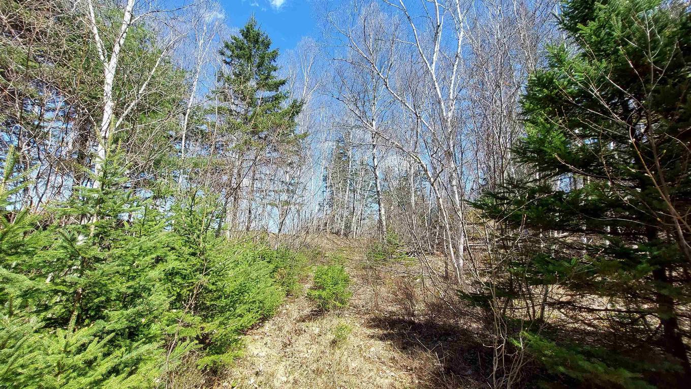 Lot 21A Jonathan R Bouman Ln, Evanston, NS