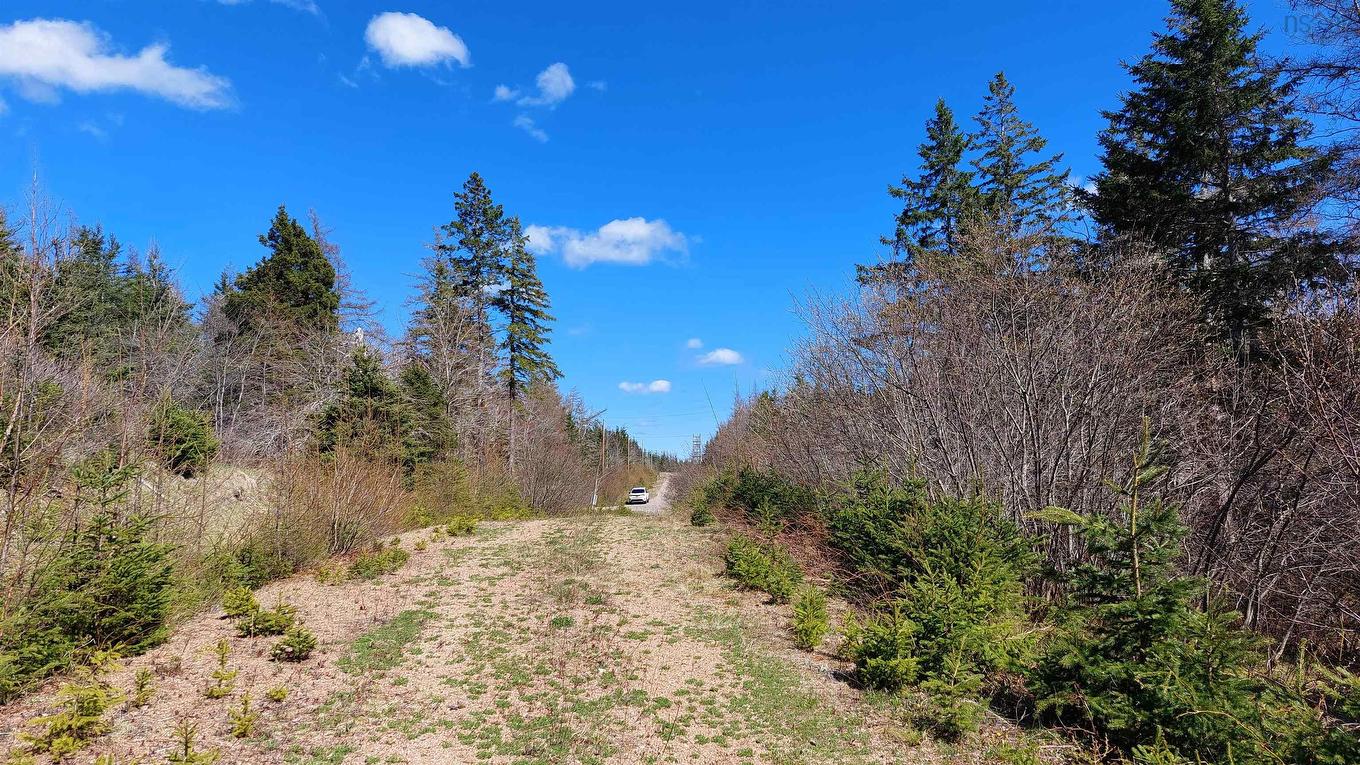 Lot 21A Jonathan R Bouman Ln, Evanston, NS