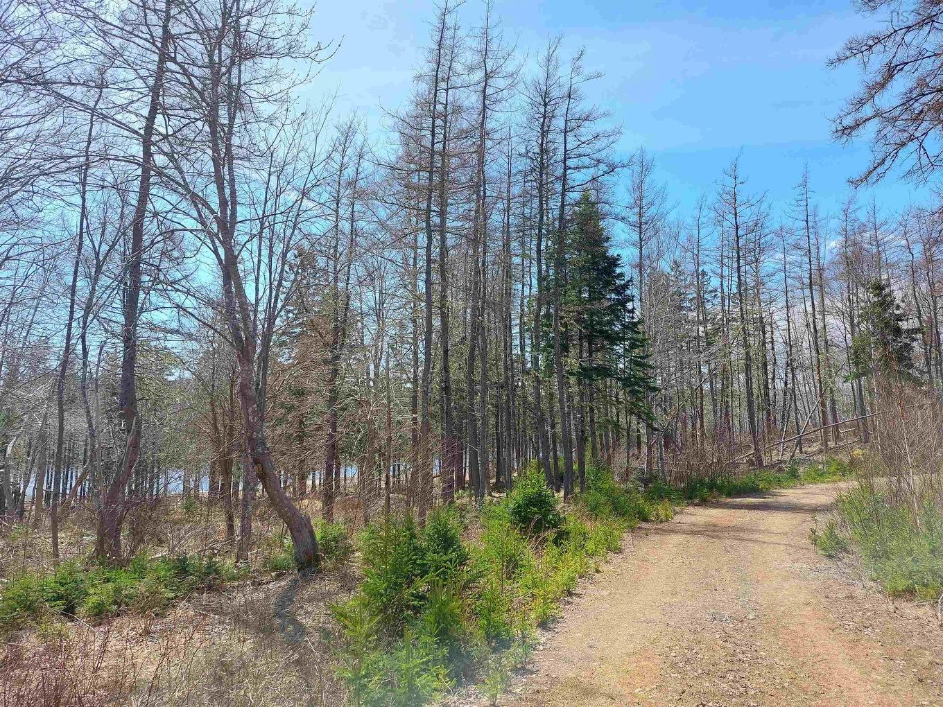 Lot 21A Jonathan R Bouman Ln, Evanston, NS