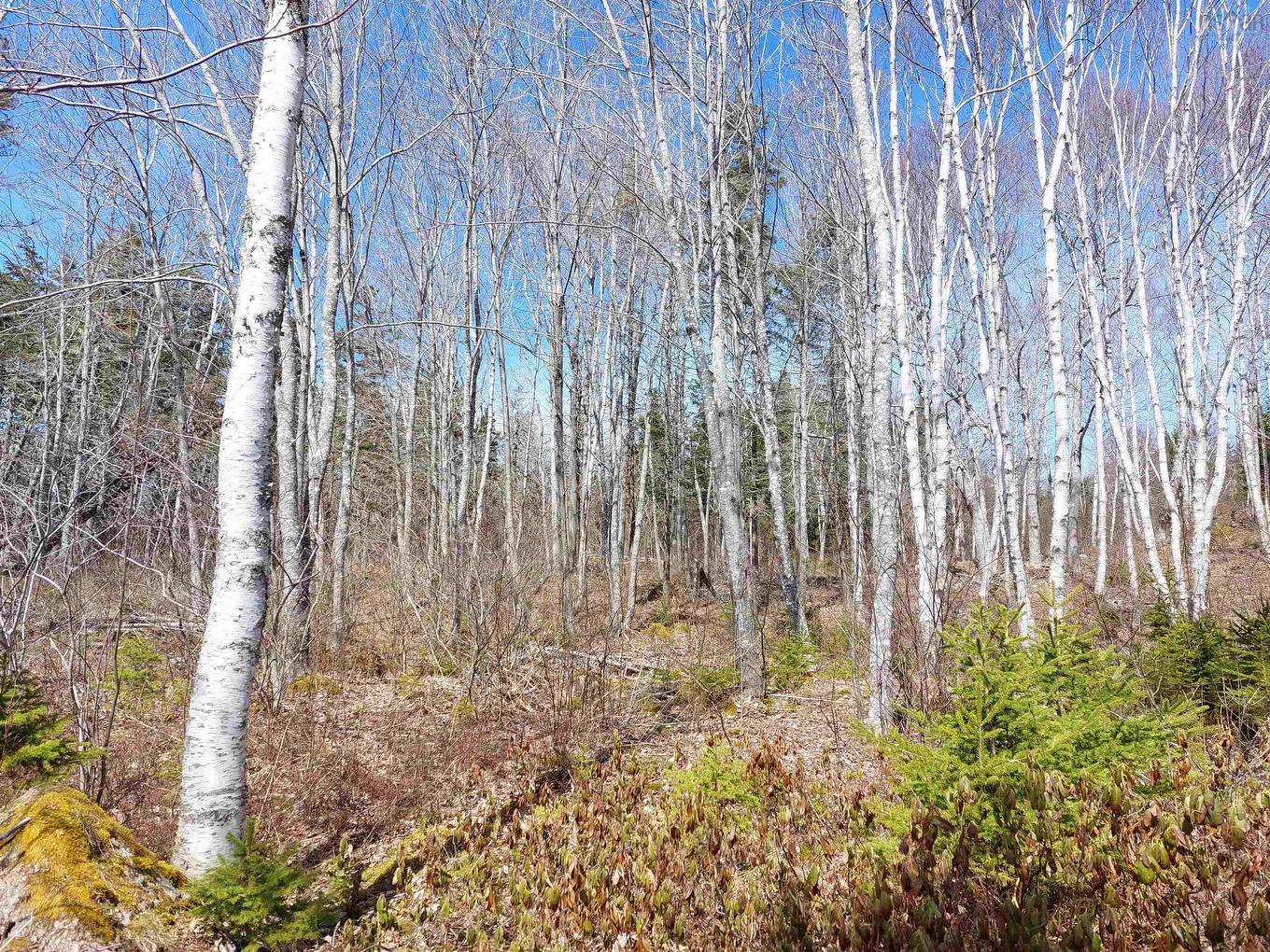 Lot 21A Jonathan R Bouman Ln, Evanston, NS