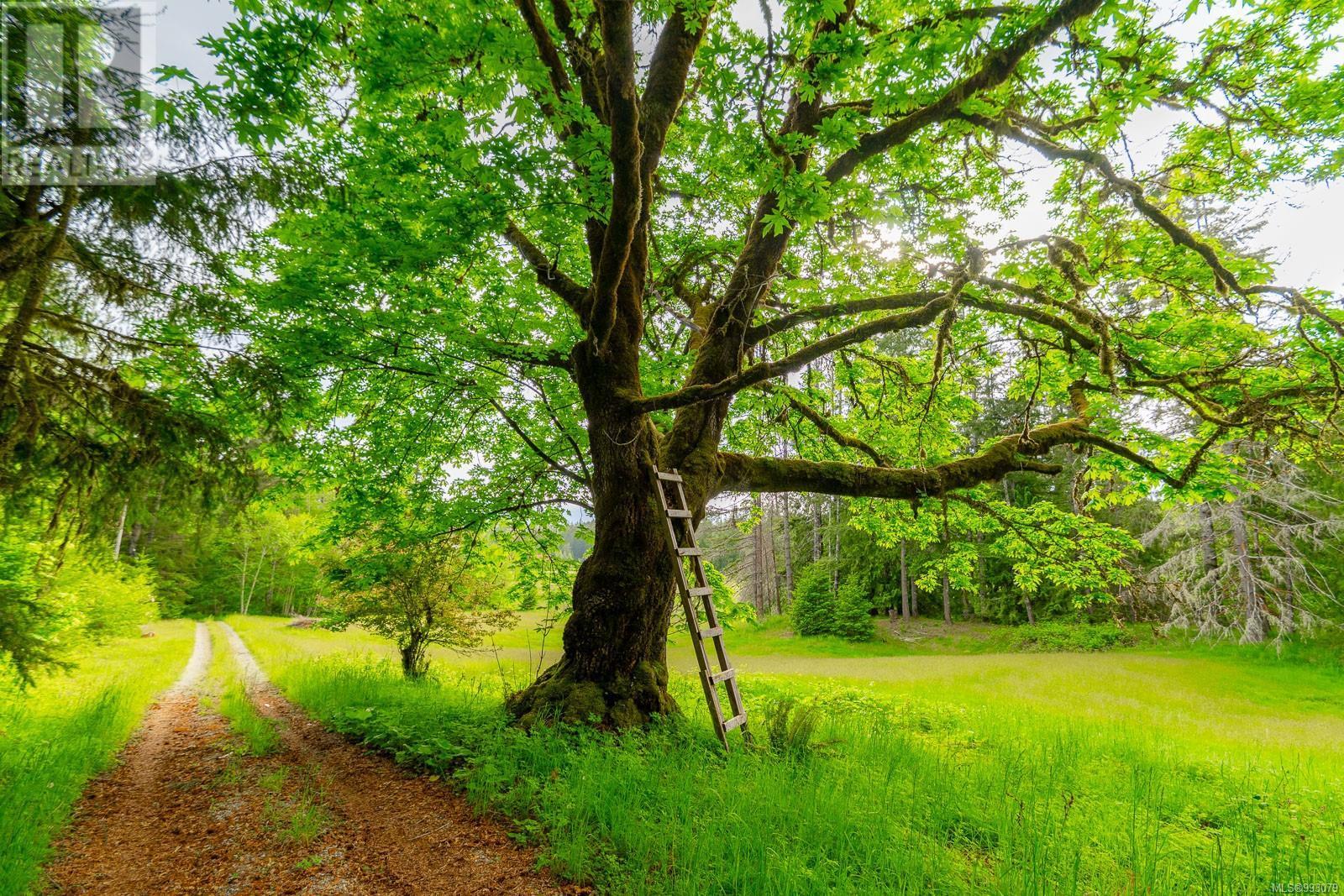 6987 Bainbridge Rd, Port Alberni, BC