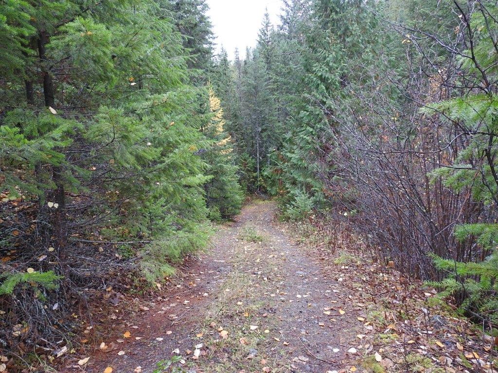 144 Acres South Fork Road, Cherryville, BC