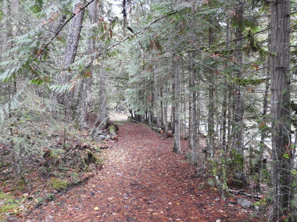 144 Acres South Fork Road, Cherryville, BC