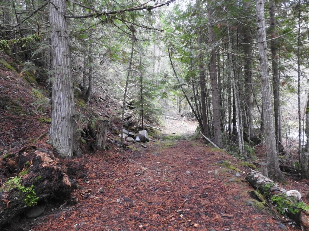 144 Acres South Fork Road, Cherryville, BC