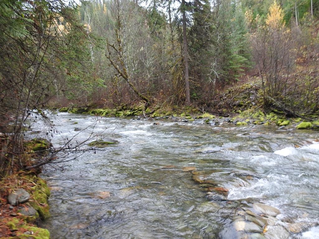144 Acres South Fork Road, Cherryville, BC