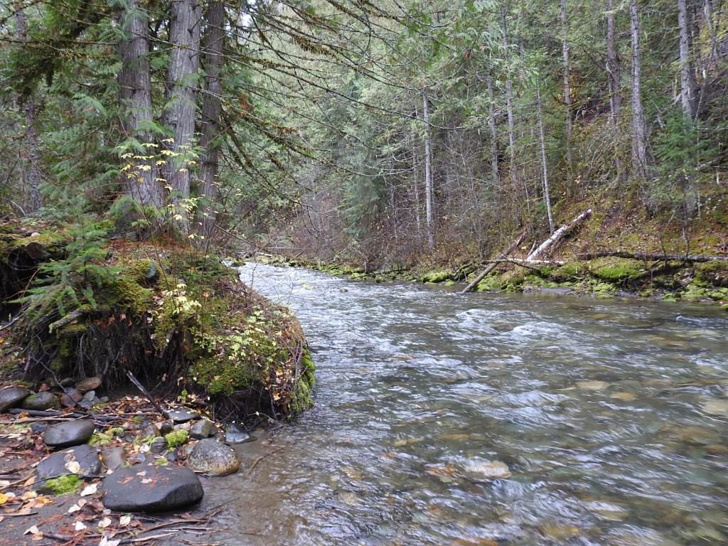 144 Acres South Fork Road, Cherryville, BC