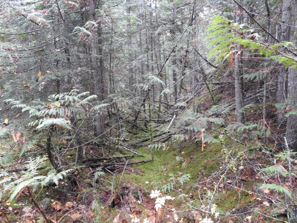 144 Acres South Fork Road, Cherryville, BC