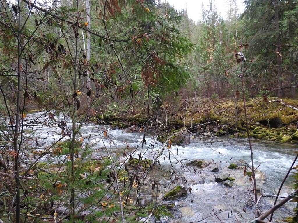 144 Acres South Fork Road, Cherryville, BC
