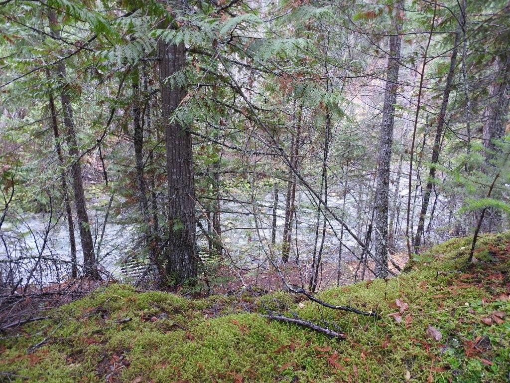 144 Acres South Fork Road, Cherryville, BC