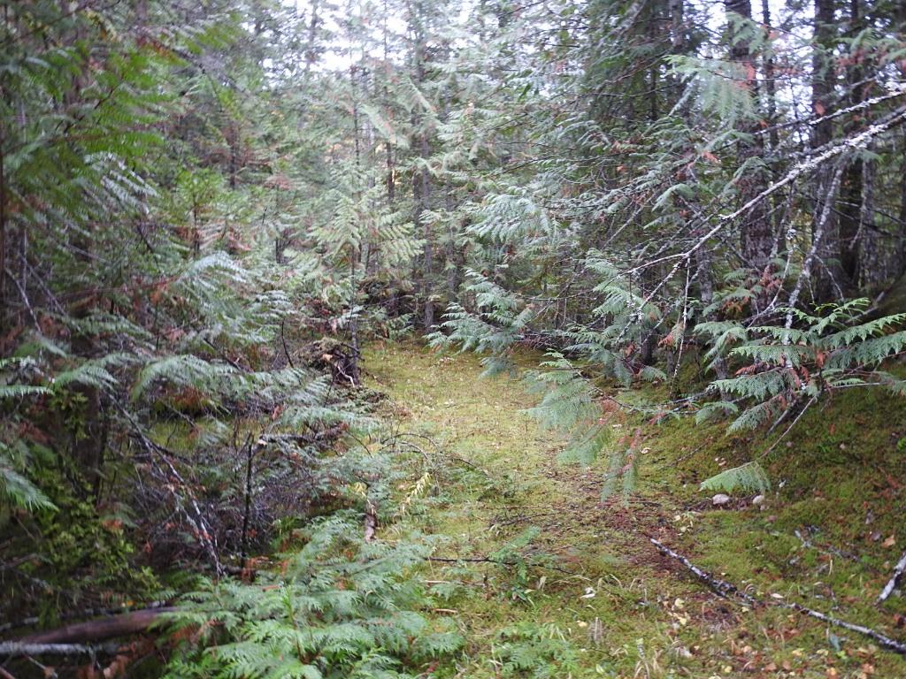 144 Acres South Fork Road, Cherryville, BC
