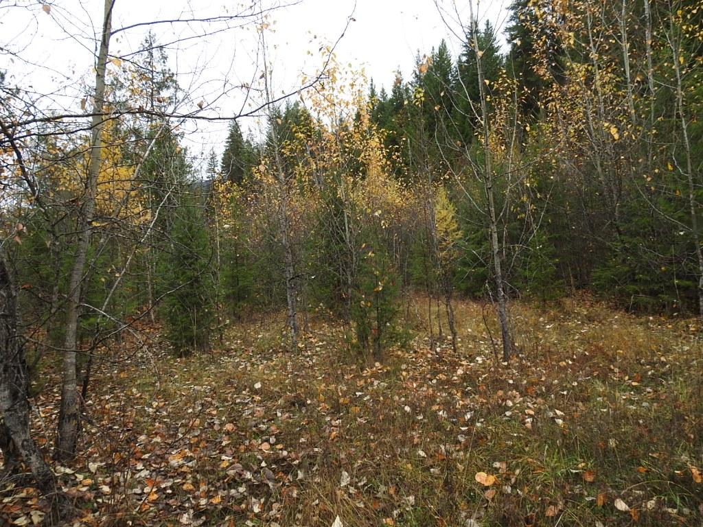 144 Acres South Fork Road, Cherryville, BC