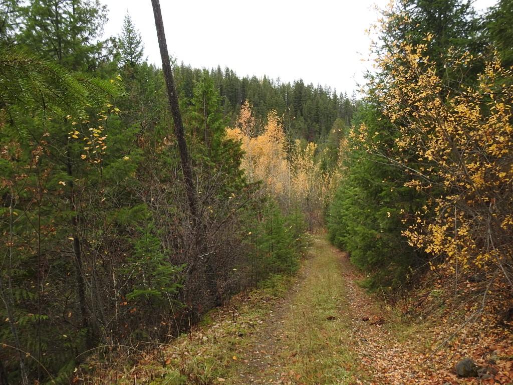 144 Acres South Fork Road, Cherryville, BC