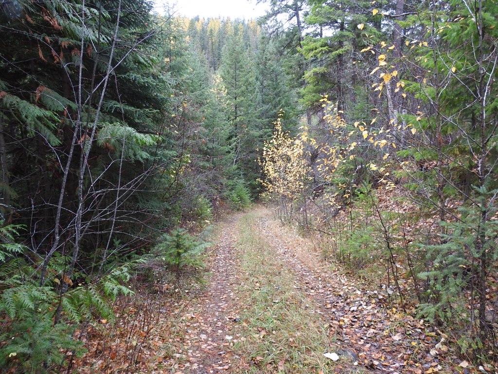 144 Acres South Fork Road, Cherryville, BC