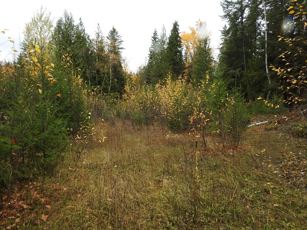 144 Acres South Fork Road, Cherryville, BC