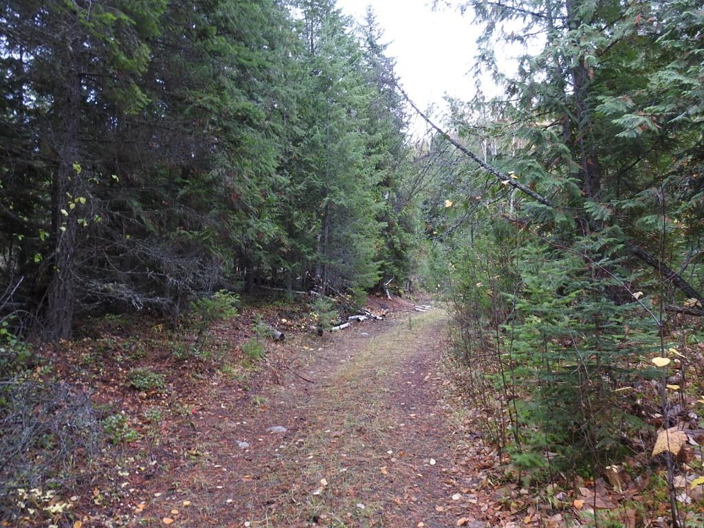 144 Acres South Fork Road, Cherryville, BC