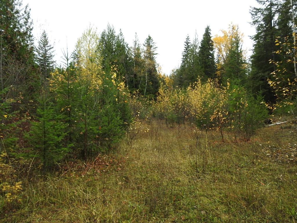 144 Acres South Fork Road, Cherryville, BC