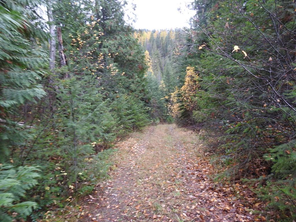 144 Acres South Fork Road, Cherryville, BC