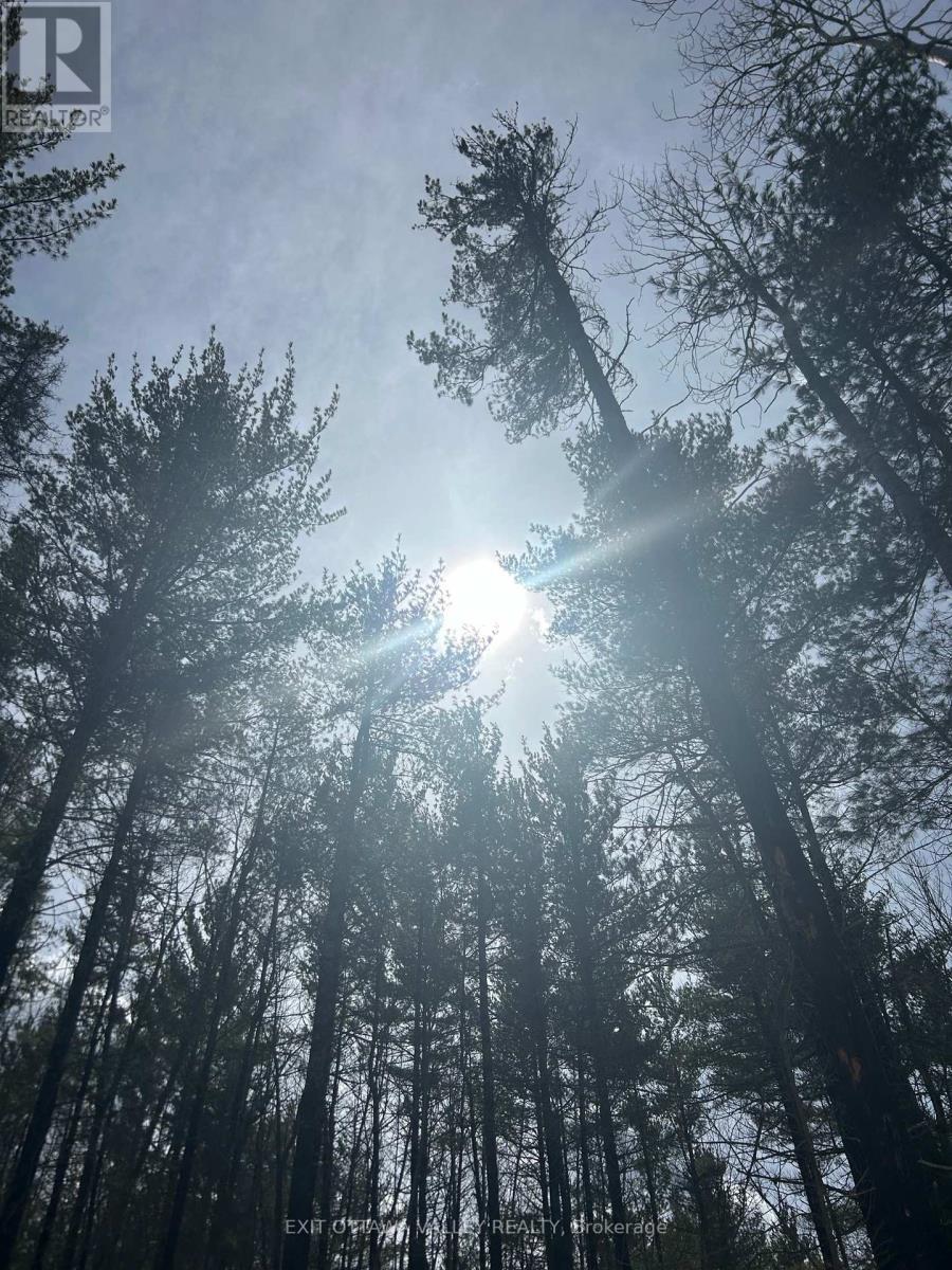 992 Mcgrath Road, Bonnechere Valley, ON