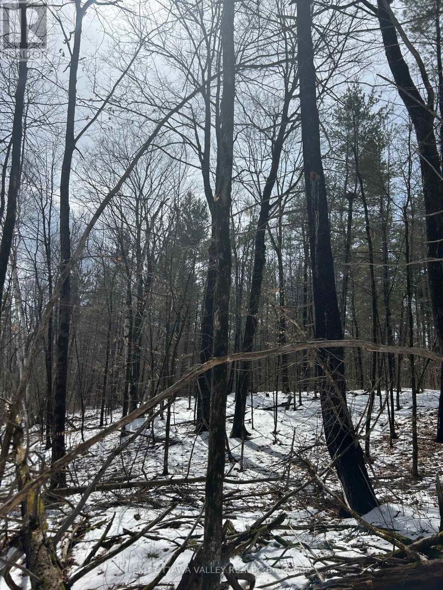 992 Mcgrath Road, Bonnechere Valley, ON