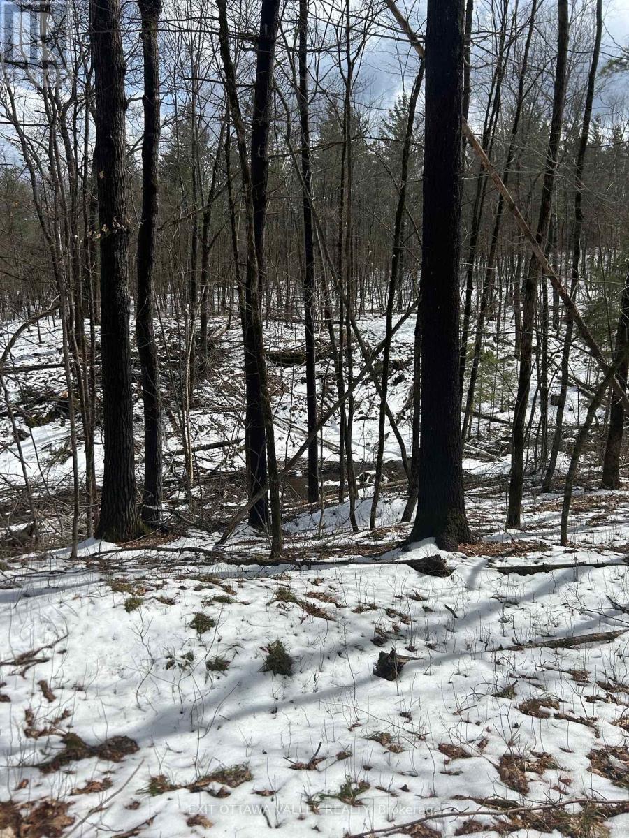 992 Mcgrath Road, Bonnechere Valley, ON