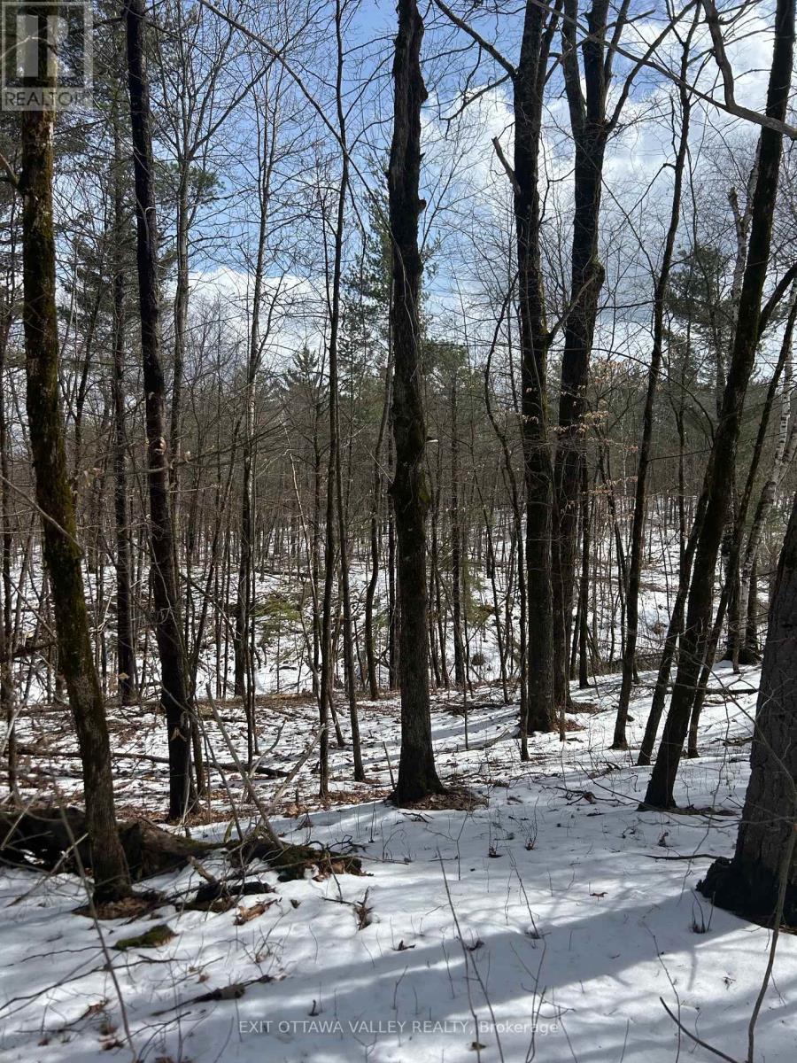 992 Mcgrath Road, Bonnechere Valley, ON