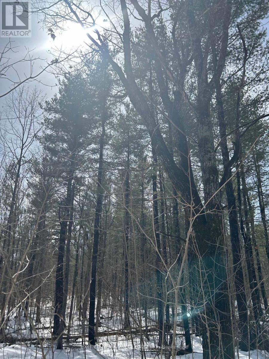 992 Mcgrath Road, Bonnechere Valley, ON